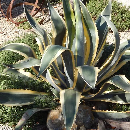 木屋 The Petite D'hotes *