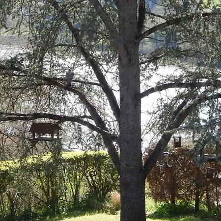 木屋 The Petite D'hotes L'Isle-Jourdain (Vienne)