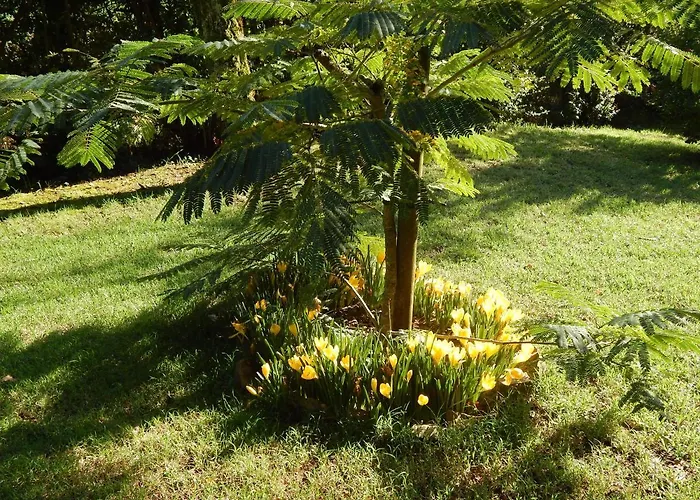 Chalet The Petite D'hotes *