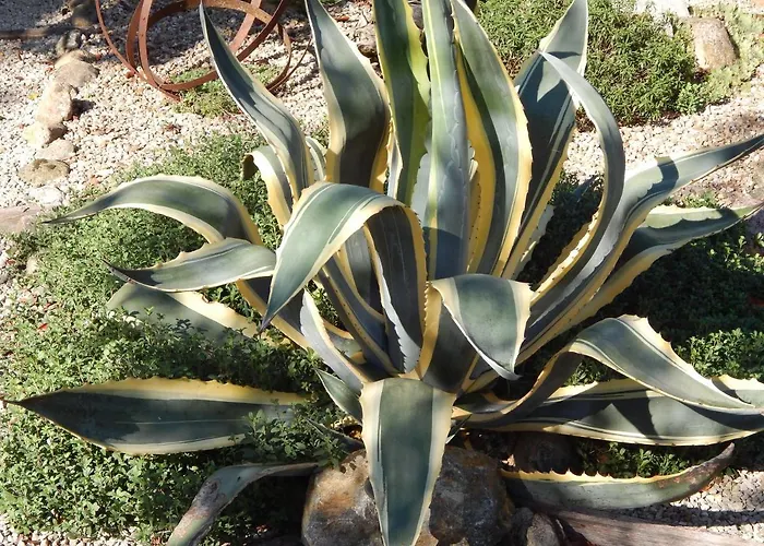 Chalet The Petite D'hotes *