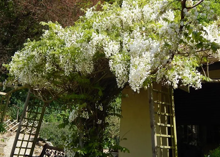 Chalet The Petite D'hotes L'Isle-Jourdain (Vienne)