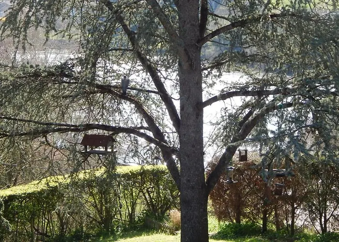 Chalet The Petite D'hotes L'Isle-Jourdain (Vienne)